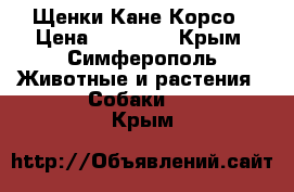   Щенки Кане Корсо › Цена ­ 30 000 - Крым, Симферополь Животные и растения » Собаки   . Крым